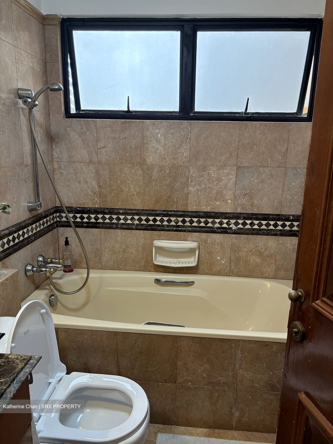 Dover Parkview (D5), Condominium #594175191